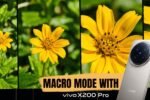 Get Closer to Nature than Ever: vivo X200 Pro Delivers Flawless Macro Photos